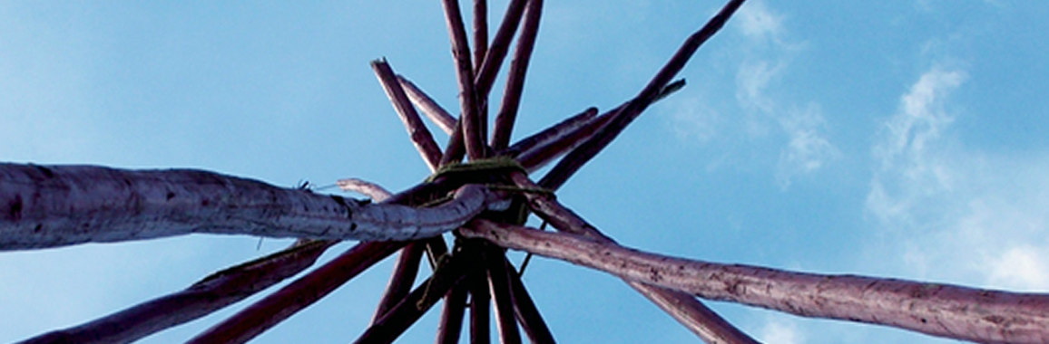 Das Bild zeigt Äste, die in den Himmel ragen und oben miteinander verknüpft wurden.